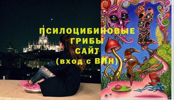 крисы Осинники