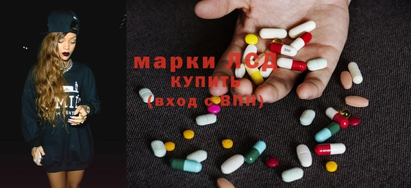 крисы Осинники