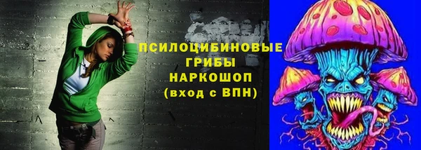 крисы Осинники