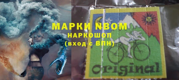 крисы Осинники