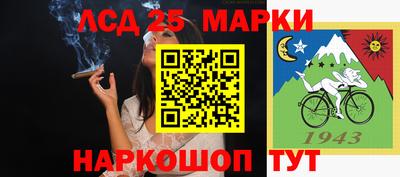 метадон Донской