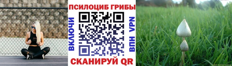 продажа наркотиков  Новый Уренгой  Галлюциногенные грибы прущие грибы 
