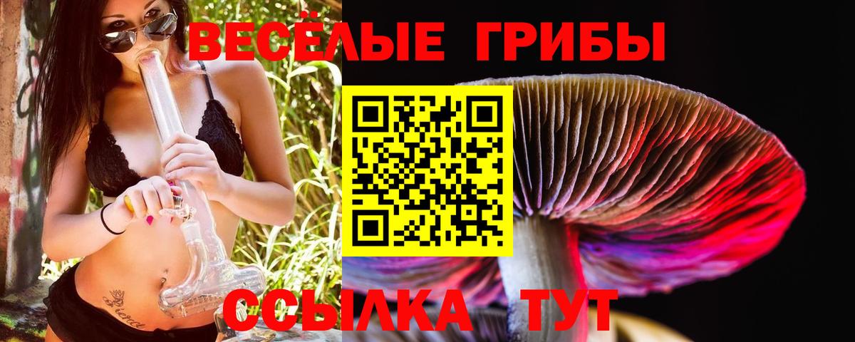 Псилоцибиновые грибы мухоморы  Галлюциногенные грибы Psilocybine cubensis  Вход с VPN  Новый Уренгой 